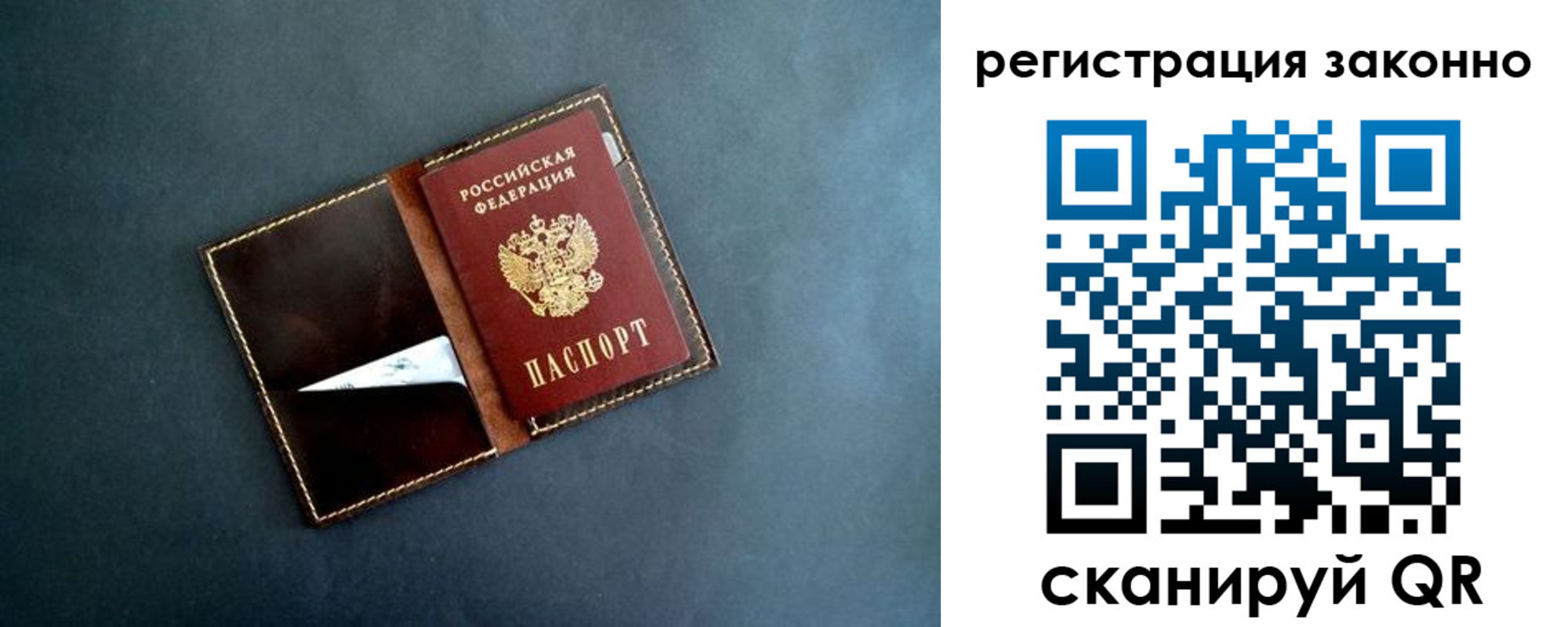 прописка поиск в Ленинградской области